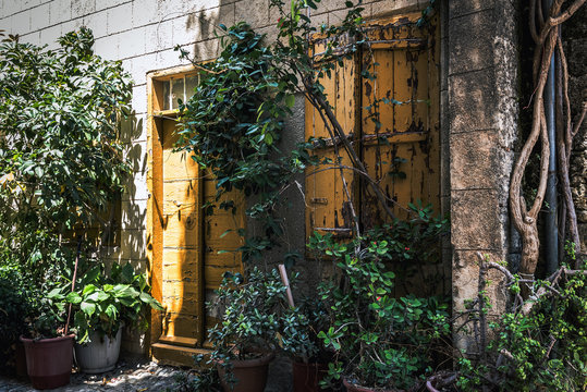 Old abandoned doors of empty house among green plants