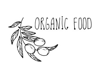 Olive branch sketch illustration on white background, olive with leaves, label, lettering, hand drawn retro illustration. Italian cuisine illustration for oil packaging