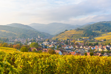 Fototapeta na wymiar Village of Barr in Vineyard landscape in region Alsace, France