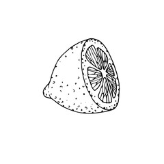 Hand drawn illustration of a lemon. A slice of lemon on white background