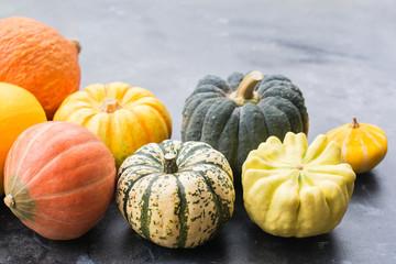 Different pumpkins and gourds on the dark grey background, copy space for text, selective focus