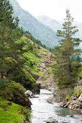 Fototapeta na wymiar Rivière vallée du Rioumajou Pyrénées France