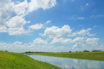 Green Grass and blue sky with white clouds