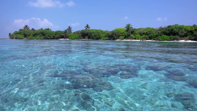 Tropical island at maldivian atoll in Indian Ocean. Wild  and uninhabited coast with palm trees. Travel destinations 