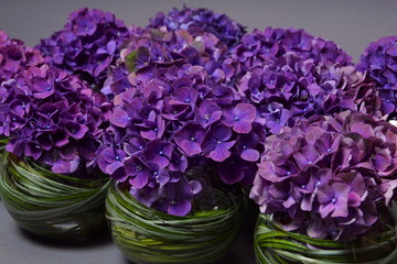 Beautiful violet hydrangea decoration on gray background