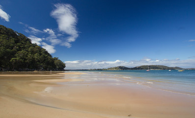 Ku Ring Gai Chase National Park