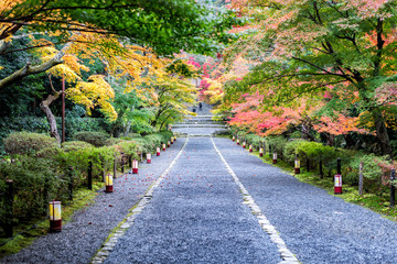 Japan Autumn Itinerary