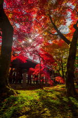 Japan Autumn Itinerary