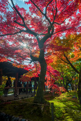 Japan Autumn Itinerary