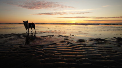 Exploring Washington, The Great Pacific Northwest