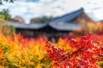 Japan Autumn Itinerary
