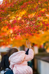 Japan Autumn Itinerary