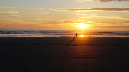 Exploring Washington, The Great Pacific Northwest