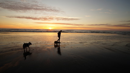 Obraz premium Exploring Washington, The Great Pacific Northwest