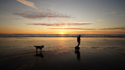 Exploring Washington, The Great Pacific Northwest