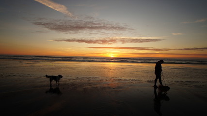 Exploring Washington, The Great Pacific Northwest