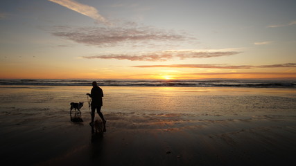 Exploring Washington, The Great Pacific Northwest