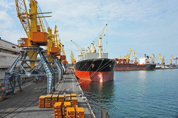 Bulk cargo ship under port crane