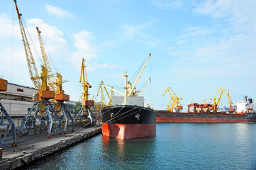 Bulk cargo ship under port crane