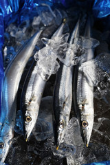 秋の秋刀魚