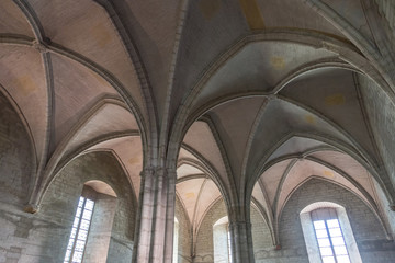 Papal palace in Avignon, France