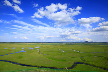 The river on the grassland