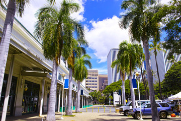 Fototapeta na wymiar ハワイ　アロハタワーから見たビジネス街の風景