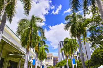 Fototapeta na wymiar ハワイ　アロハタワーから見たビジネス街の風景