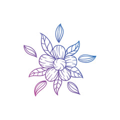 flower floral illustration