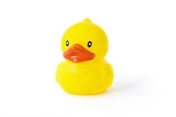 rubber duck on White Background