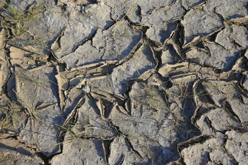 Climate warming dry chapped land