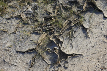 Climate warming dry chapped land