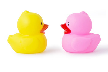 rubber duck on White Background