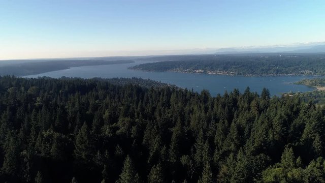 Aerial Over Washington Forest Trees Revealing Lake Sammamish