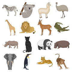 Ostrich emu, crocodile, giraffe, tiger, penguin and other wild animals. Artiodactyla, mammalian predators and animals set collection icons in cartoon style vector symbol stock illustration web.