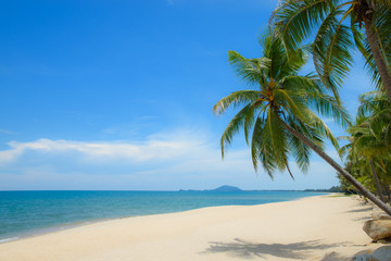 Obraz na płótnie Canvas Beautiful view of coconut palm trees on tropical beach and blue sky background