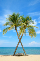 Beautiful view of coconut palm trees on tropical beach and blue sky background - 173861675