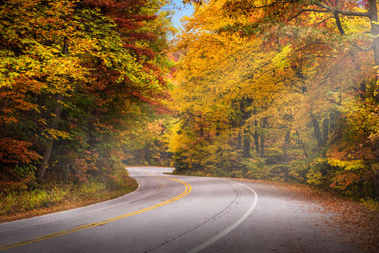 Fall Fliage
