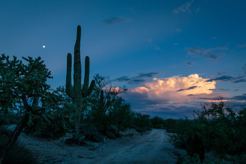Evening descends on the end of an active monsoon day in the Sonoran Desert.