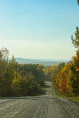 Obraz premium long dirt road in fall season