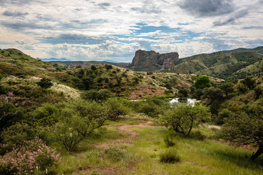 The Tumacacori Highlands turn green with grass nourished by abundant monsoon rain. Near Rio Rico, Ariziona.