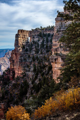 Fototapeta na wymiar Angel's Point at Cape Royal on the North Rim of the Grand Canyon framed in yellow seasonal foliage.