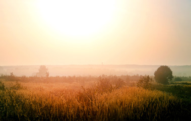 Obraz premium Photo of a bright beautiful misty sunrise