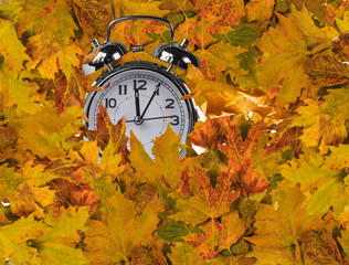autumn leaves clock  for market background