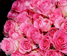 Bouquet flower background of pink rose 