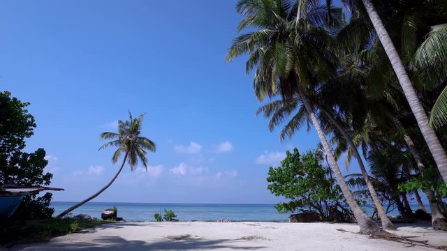 Tropical beach with coconut palms, Maldives travel destination