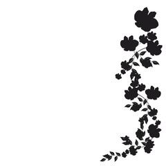 beautiful flowers