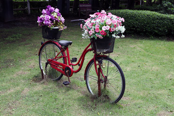 Fototapeta na wymiar Colorful plastic flower on the bicycle in the garden. Old cycle and plastic flower bouquet decorate in the park.