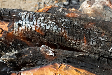 charred firewood in a barbeque fire