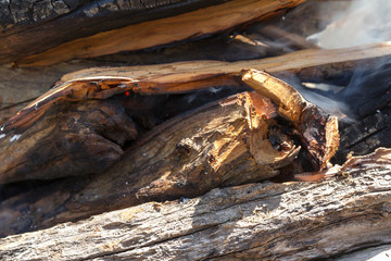 firewood for fire